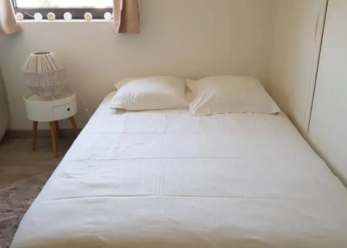 Apartment Grand Cosy Chez Pepette A 5 Min De Colmar *