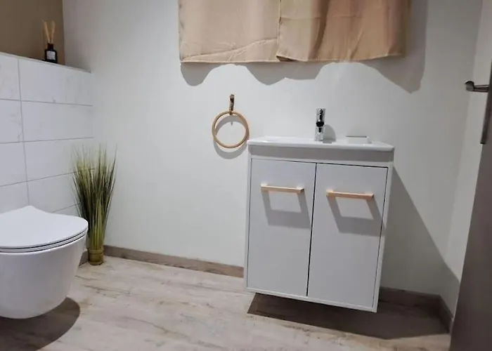 Apartment Grand Cosy Chez Pepette A 5 Min De Colmar Houssen